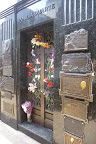 P1100037.JPG