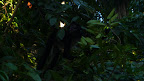 P1050096.JPG