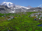 P1010588.JPG