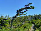 P1010435.JPG