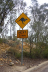 P1120109.JPG