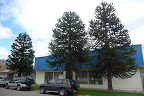 P1090295.JPG