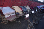 P1150048.JPG