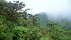 P1050828.JPG