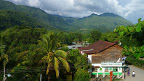 P1050249.JPG