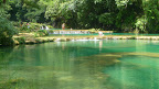 P1050189.JPG
