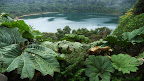 P1060053.JPG