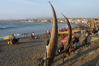 P1070534.JPG
