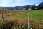 P1110016.JPG