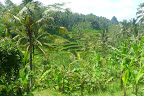 P1120634.JPG