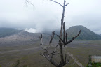 P1120769.JPG