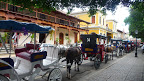 P1050621.JPG