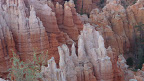 P1020800.JPG