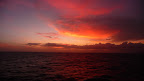 P1050653.JPG