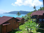 P1130555.JPG