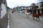 P1070478.JPG