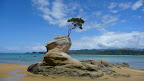 P1100250.JPG