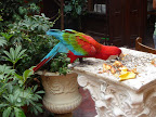 P1070746.JPG