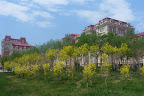 P1150271.JPG