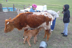 P1150516.JPG