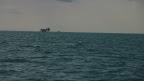 P1050038.JPG
