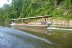 P1130716.JPG